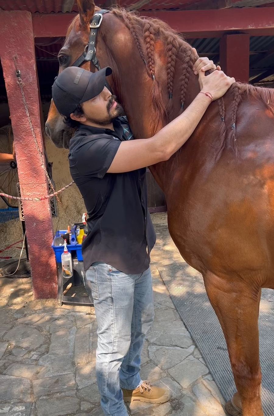 Edgar Delgado realiza un ajuste en el cuello de un caballo alazán con la crin trenzada